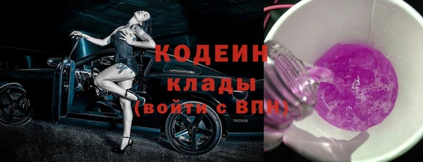 молекула духа Кулебаки