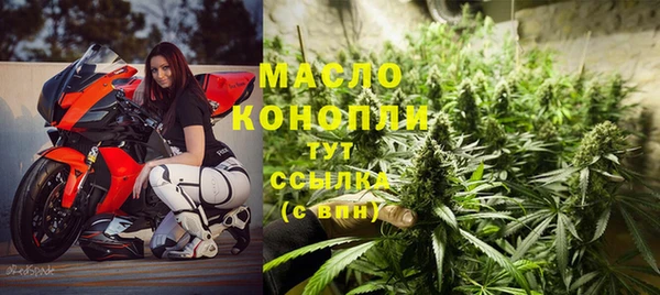 молекула духа Кулебаки