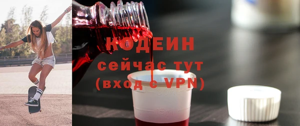 молекула духа Кулебаки