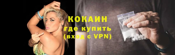 молекула духа Кулебаки