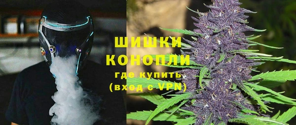 прущие грибы Кукмор