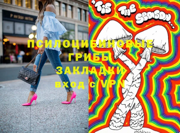 прущие грибы Кукмор