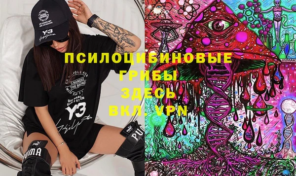 прущие грибы Кукмор