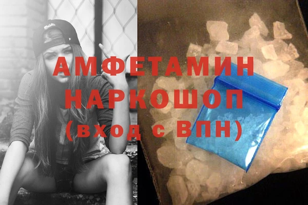 молекула духа Кулебаки
